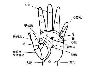 冠心病的手部按摩处方图片