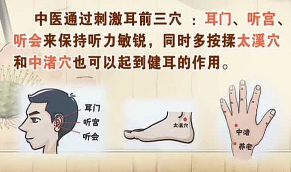 20130329饮食养生汇视频和笔记:刘家瑛讲耳鸣,耳聋,中耳炎,抗生素