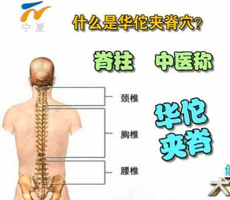 20130417健康大财富视频和笔记蒋金鹏讲拔罐华佗夹脊穴落枕