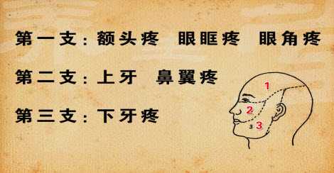 三叉神经痛和牙痛的区别图片