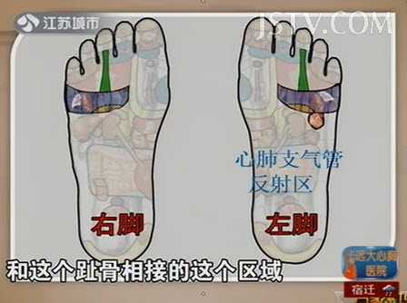 20130715万家灯火视频和笔记张秀勤讲脚掌脚臭脚掌反射区