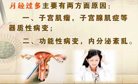 20131211饮食养生汇视频和笔记:王燕讲月经,初潮,性早熟,绝经