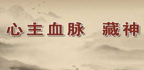 20131224养生堂视频和笔记于作洋讲心气不足心气虚心火虚舌象