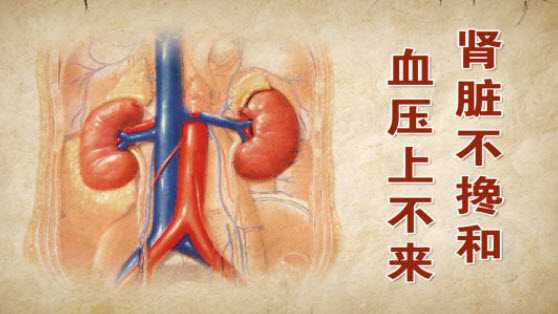 ���˸�Ѫѹ�Ժ��ܻ���