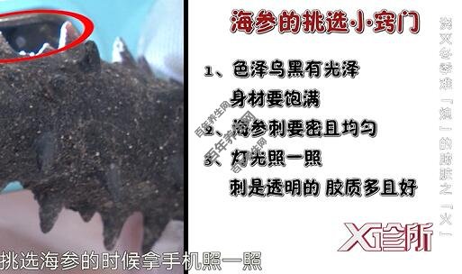如何挑选海参